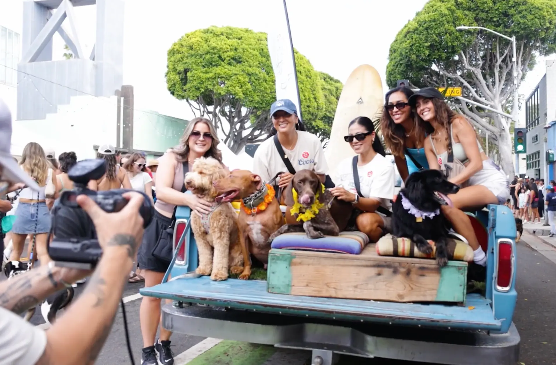 Friends and their dogs posing together in the bed of a vintage blue pickup truck